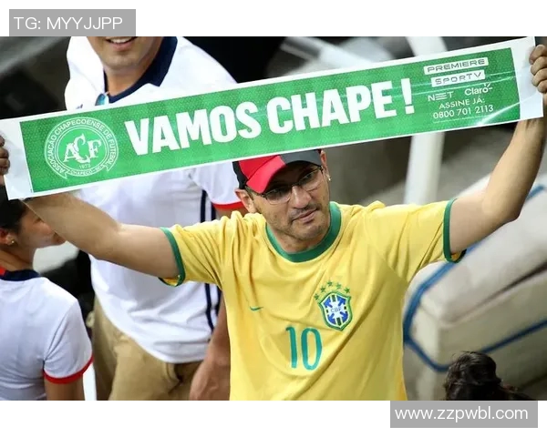 沙佩科恩死与克里希的悲剧交汇点探讨与反思