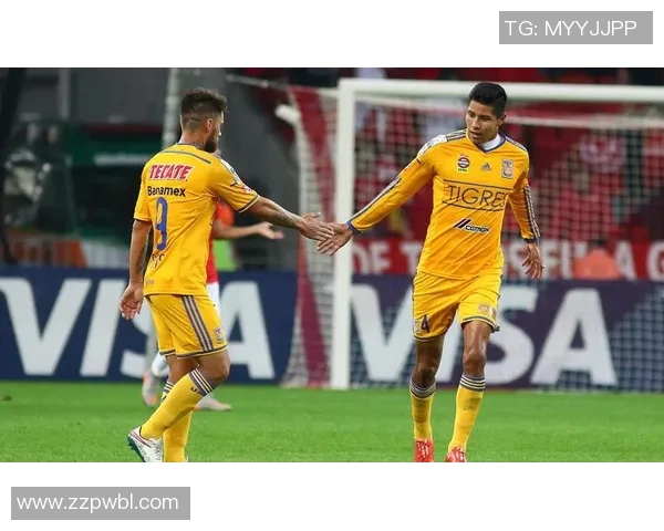 巴西国际与桑托斯对决首发阵容分析及比赛前瞻详解