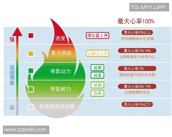 有氧运动助力健康生活 提升心肺功能与身体耐力的科学方法